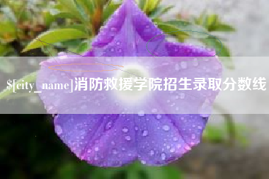 锡林郭勒盟消防救援学院招生录取分数线