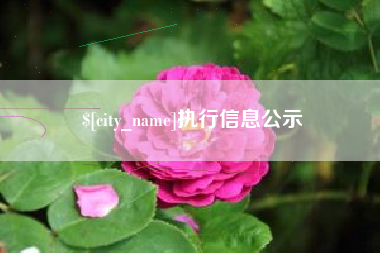 锡林郭勒盟执行信息公示