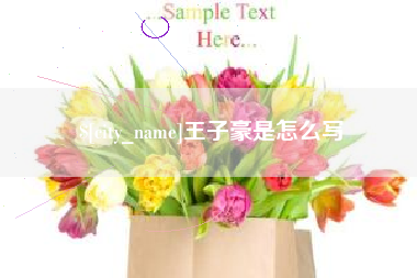 锡林郭勒盟王子豪是怎么写