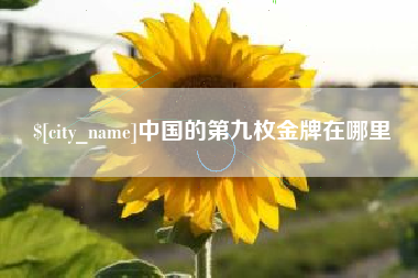 锡林郭勒盟中国的第九枚金牌在哪里
