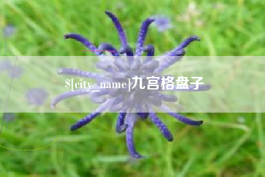 锡林郭勒盟九宫格盘子