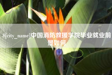锡林郭勒盟中国消防救援学院毕业就业前景如何