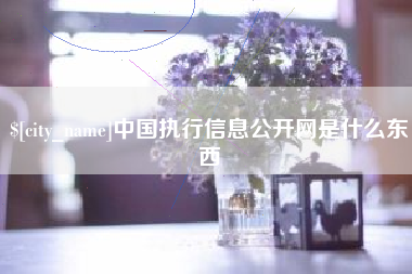 锡林郭勒盟中国执行信息公开网是什么东西