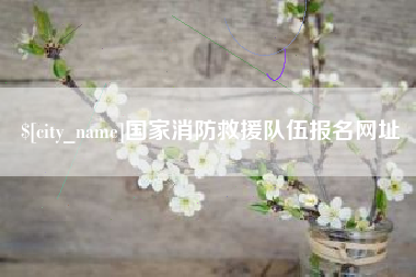 锡林郭勒盟国家消防救援队伍报名网址