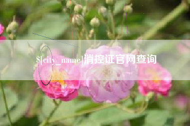锡林郭勒盟消控证官网查询