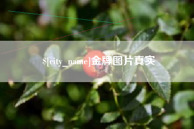 锡林郭勒盟金牌图片真实