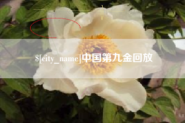 锡林郭勒盟中国第九金回放