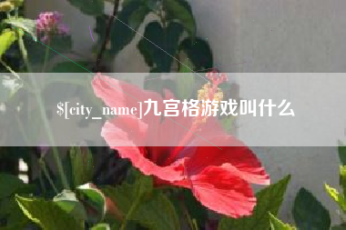 锡林郭勒盟九宫格游戏叫什么