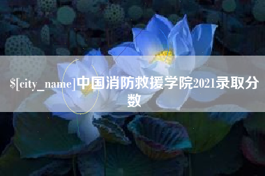 锡林郭勒盟中国消防救援学院2021录取分数