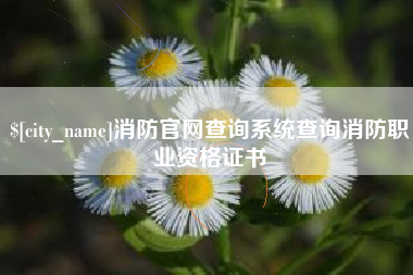 锡林郭勒盟消防官网查询系统查询消防职业资格证书