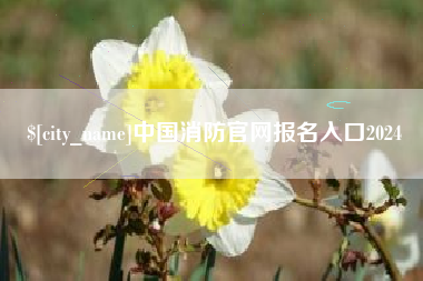 锡林郭勒盟中国消防官网报名入口2024