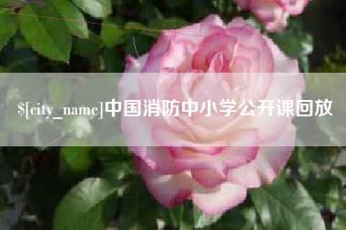锡林郭勒盟中国消防中小学公开课回放