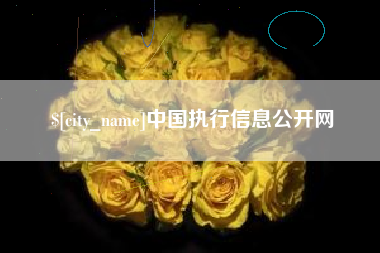 锡林郭勒盟中国执行信息公开网