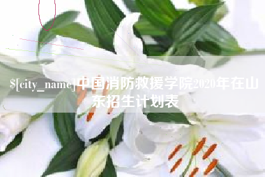 锡林郭勒盟中国消防救援学院2020年在山东招生计划表