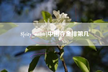 锡林郭勒盟中国夺金排第几