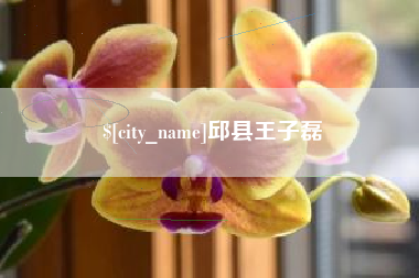 锡林郭勒盟邱县王子磊
