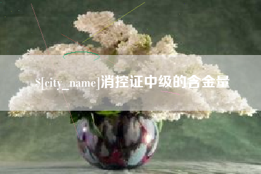 锡林郭勒盟消控证中级的含金量