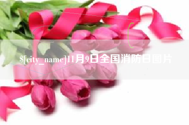 锡林郭勒盟11月9日全国消防日图片