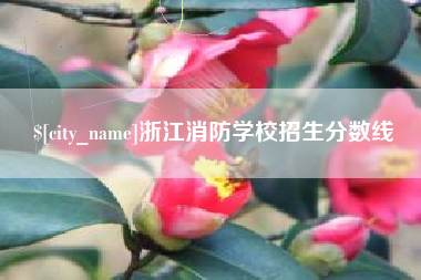 锡林郭勒盟浙江消防学校招生分数线