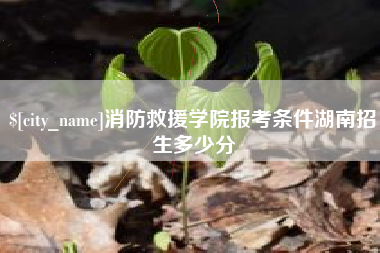 锡林郭勒盟消防救援学院报考条件湖南招生多少分