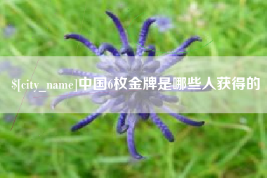 锡林郭勒盟中国6枚金牌是哪些人获得的