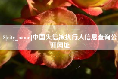 锡林郭勒盟中国失信被执行人信息查询公开网址