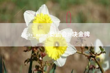 锡林郭勒盟奥运会39块金牌