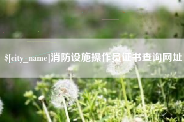 锡林郭勒盟消防设施操作员证书查询网址