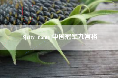 锡林郭勒盟中国冠军九宫格