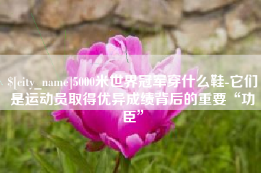 锡林郭勒盟5000米世界冠军穿什么鞋-它们是运动员取得优异成绩背后的重要“功臣”