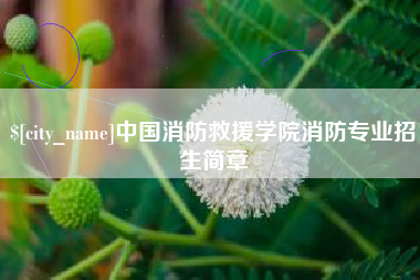 锡林郭勒盟中国消防救援学院消防专业招生简章
