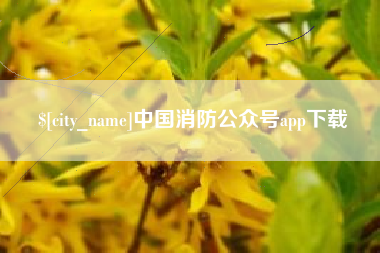 锡林郭勒盟中国消防公众号app下载