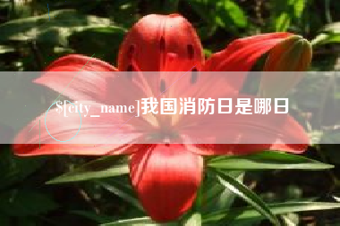 锡林郭勒盟我国消防日是哪日