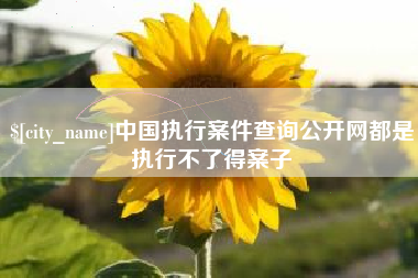 锡林郭勒盟中国执行案件查询公开网都是执行不了得案子