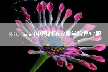 锡林郭勒盟中国消防救援学院是985吗