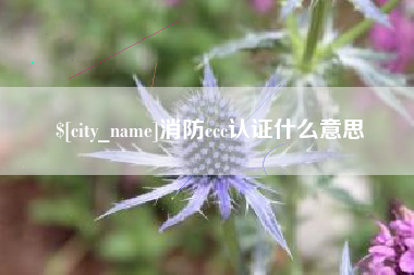 锡林郭勒盟消防ccc认证什么意思