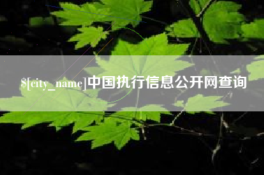 锡林郭勒盟中国执行信息公开网查询