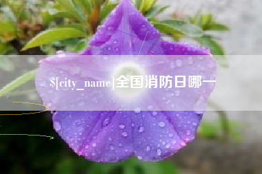 锡林郭勒盟全国消防日哪一