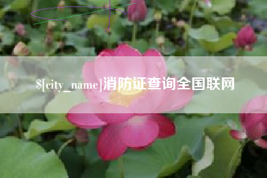 锡林郭勒盟消防证查询全国联网