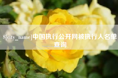 锡林郭勒盟中国执行公开网被执行人名单查询
