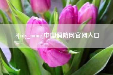锡林郭勒盟中国消防网官网入口