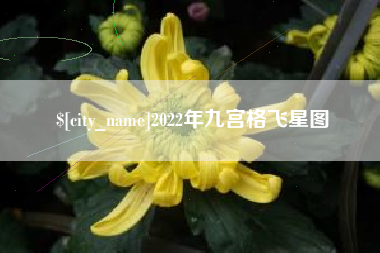 锡林郭勒盟2022年九宫格飞星图