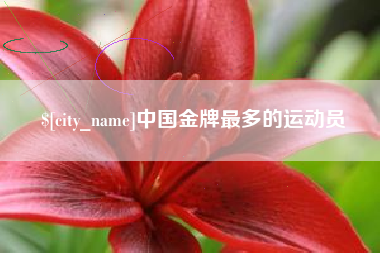 锡林郭勒盟中国金牌最多的运动员