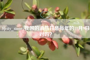 锡林郭勒盟我国的消防日是每年的11月9日对吗？