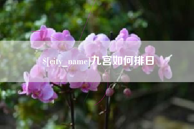 锡林郭勒盟九宫如何排日