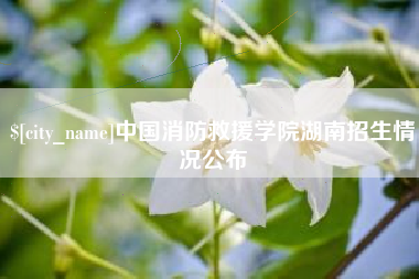 锡林郭勒盟中国消防救援学院湖南招生情况公布