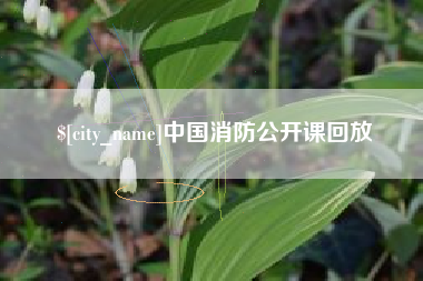 锡林郭勒盟中国消防公开课回放