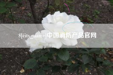 锡林郭勒盟中国消防产品官网