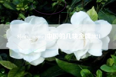 锡林郭勒盟中国的几块金牌2021