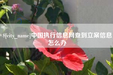 锡林郭勒盟中国执行信息网查到立案信息怎么办